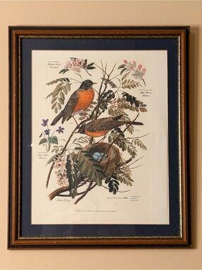 Arthur Singer - Vintage "Robin" Print #5 of #8 in Series -